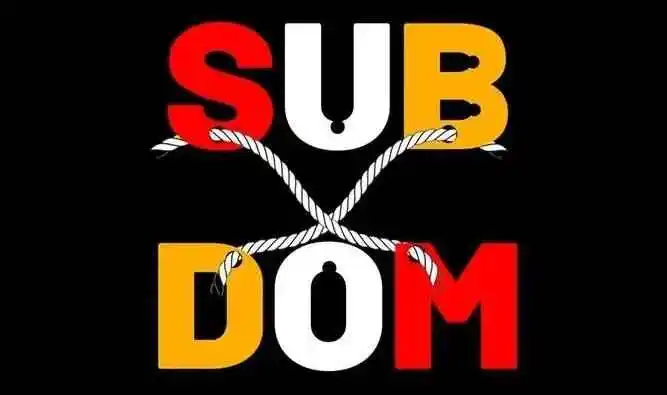 西檬之家s倾向是什么?解密字母圈中的支配与臣服关系 一