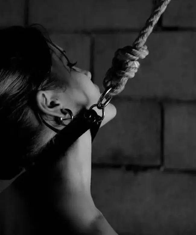 西檬之家k9犬系是什么?探索字母圈中的特殊属性与文化 一