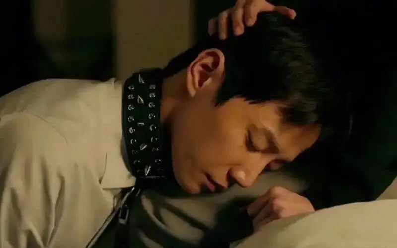 西檬之家s倾向的秘密:如何理解与探索属于你的字母圈之旅 一