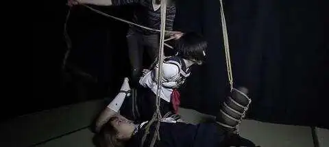 西檬之家BDSM实践新手必读指南,揭秘安全与信任的秘密 一