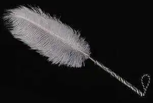 西檬之家k8猫系是什么?深入解析字母圈中的猫咪玩法 一