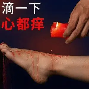 西檬之家k8猫系是什么?探索字母圈中的新兴趋势 一