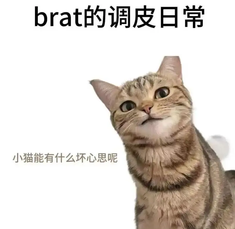 西檬之家字母圈的小圈子,你了解吗? 一