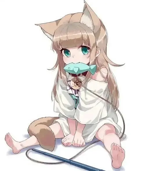 西檬之家k8猫系新手指南:如何在字母圈中找到你的位置? 一