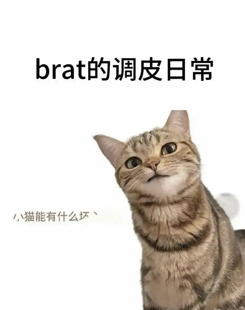 西檬之家字母圈Switch角色解析 一
