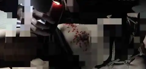 西檬之家字母圈管教是什么意思? 一