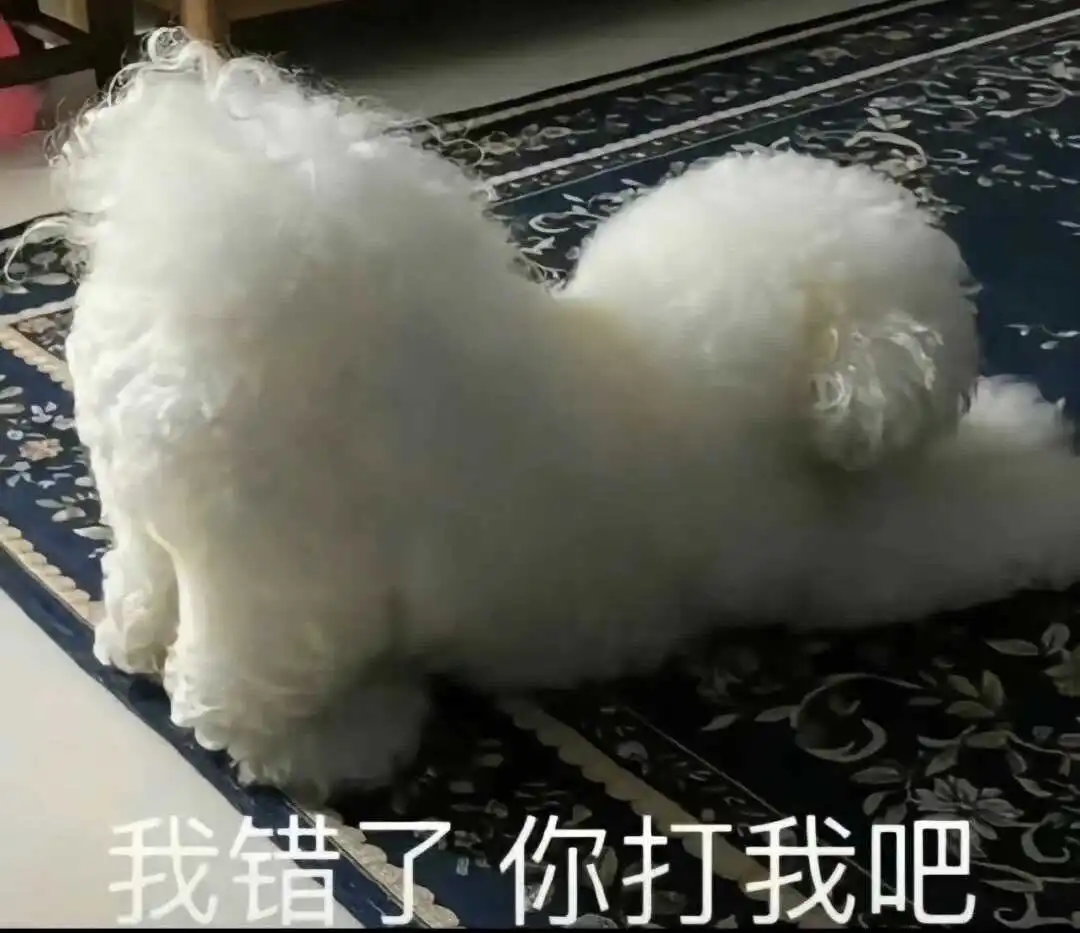 西檬之家sm亚文化新手入门指南 一