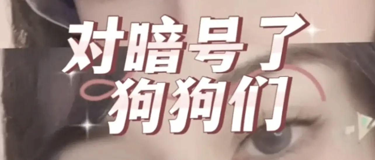 西檬之家k8猫系新人入门指南 一