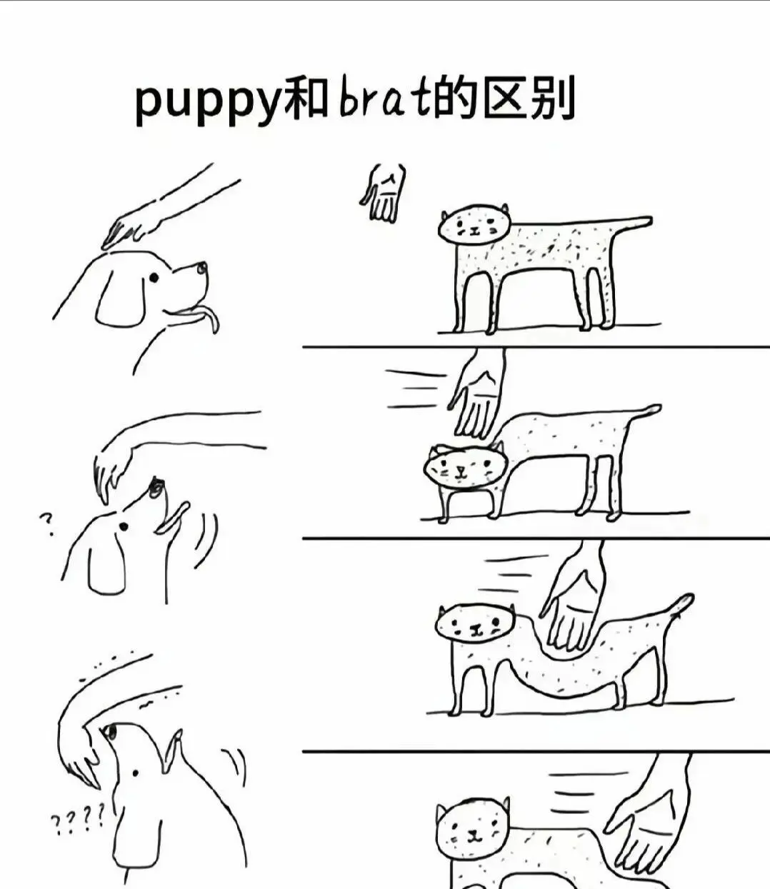 西檬之家TS是什么意思?你的跨性别身份认同指南 一