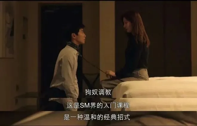 西檬之家字母圈Dom是什么意思 一