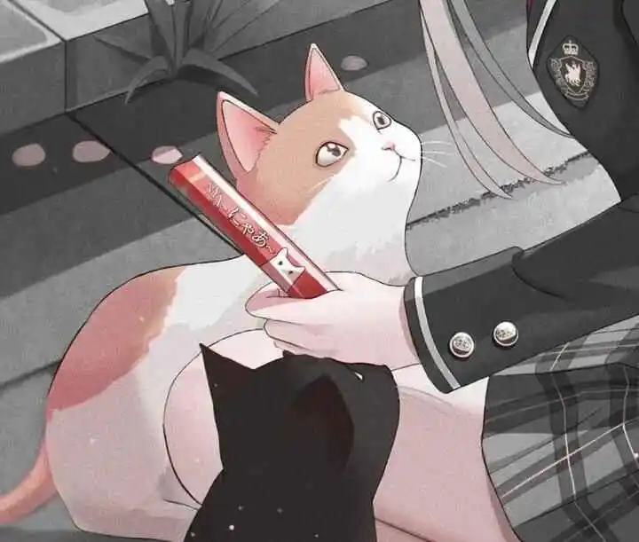 西檬之家k8猫系是什么意思? 一