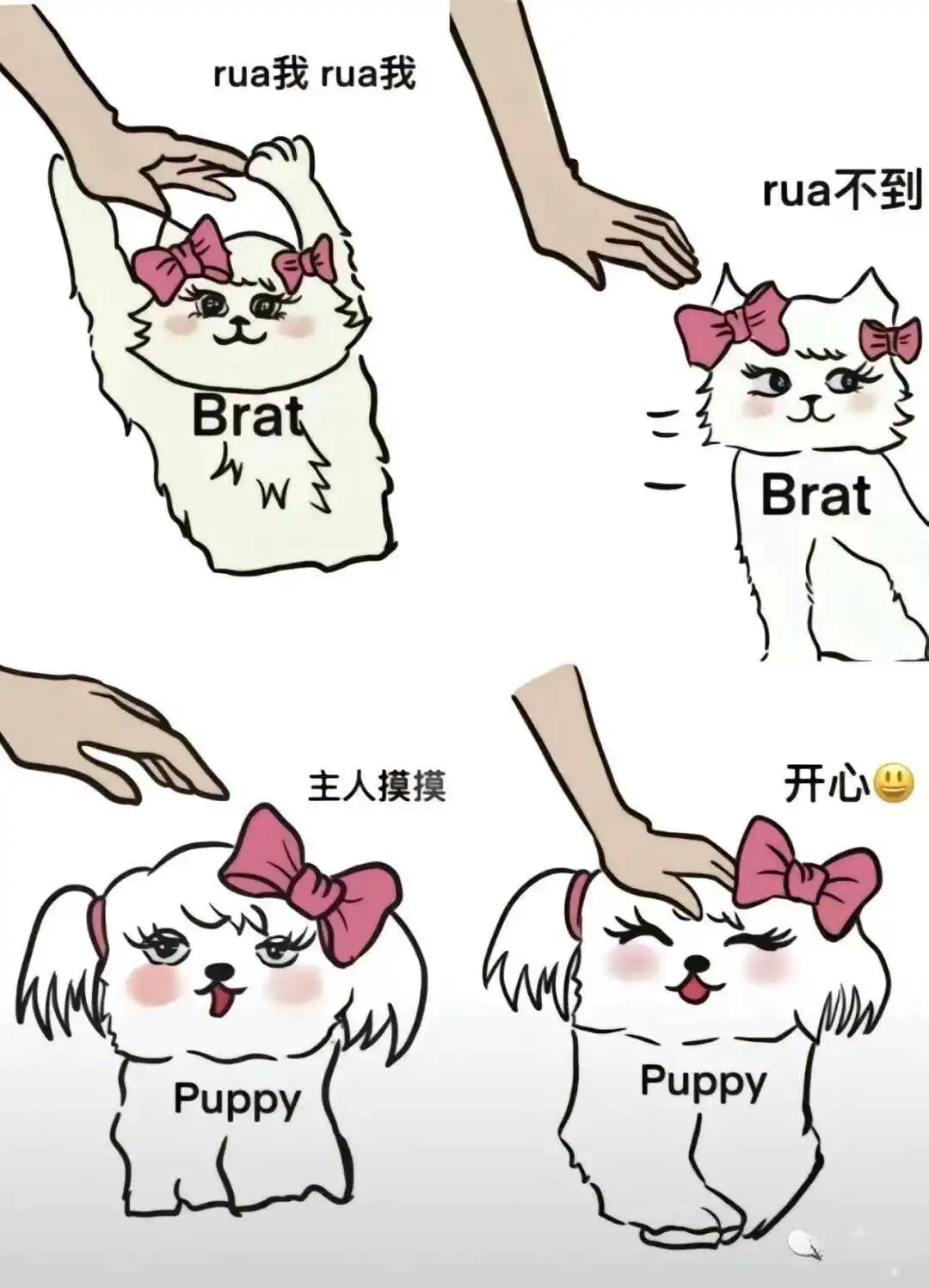 西檬之家sm亚文化新人入门指南 一